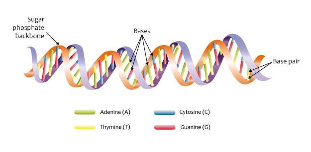 National DNA Day